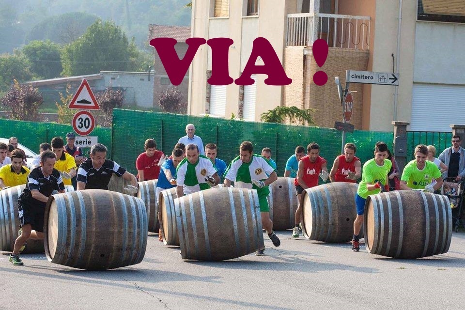 Maggiora 2014 (51)